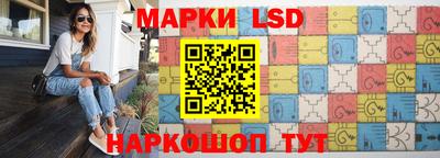 тгк Кингисепп