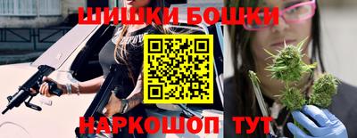 тгк Кингисепп