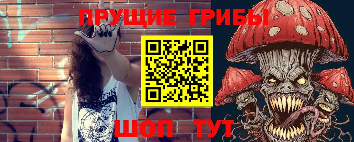 Кропоткин  Галлюциногенные грибы Cubensis  Вход с VPN 